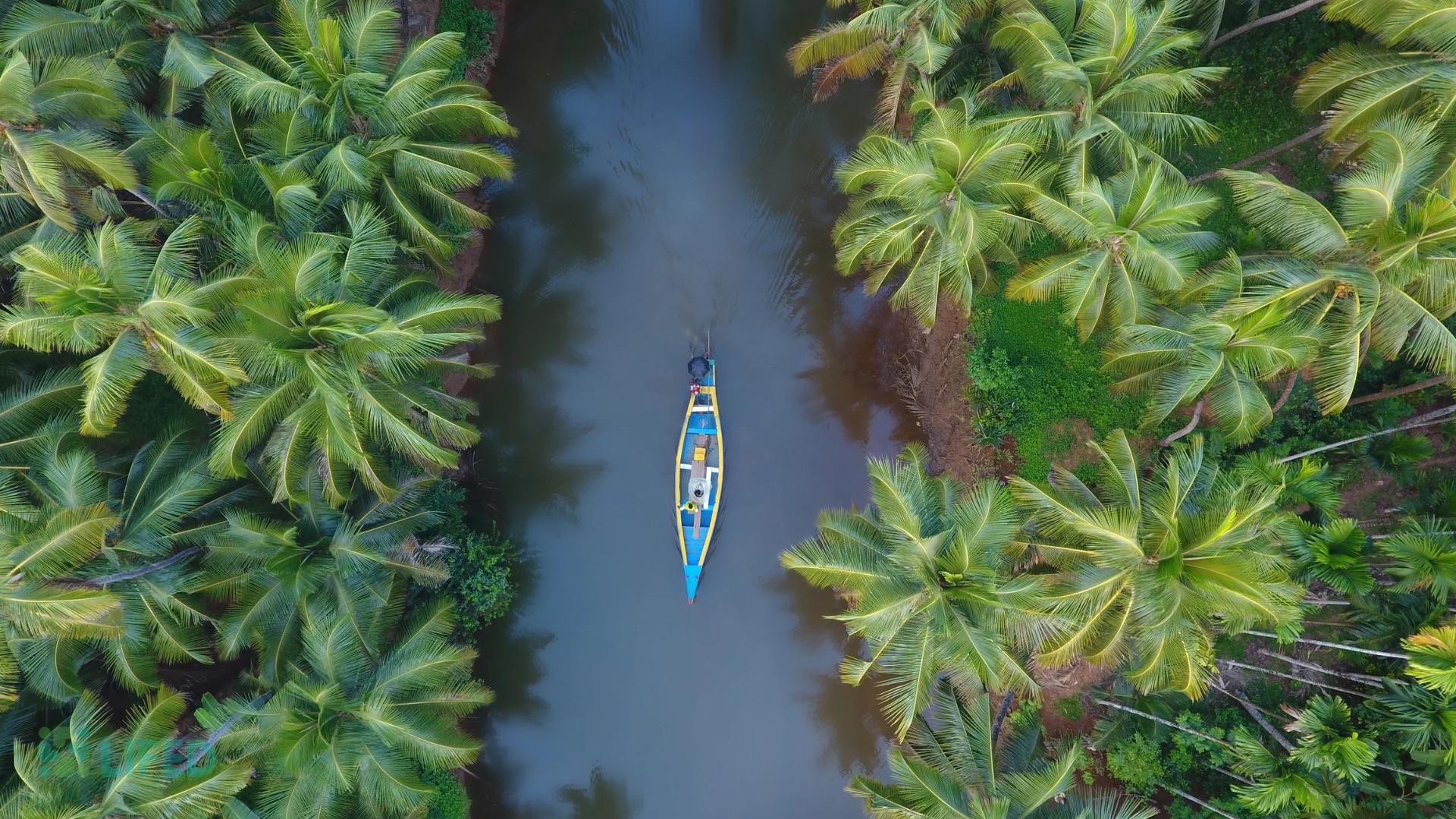 10 Best Wellness Retreats in Kerala for 2026/2027, and How to Choose the Right One