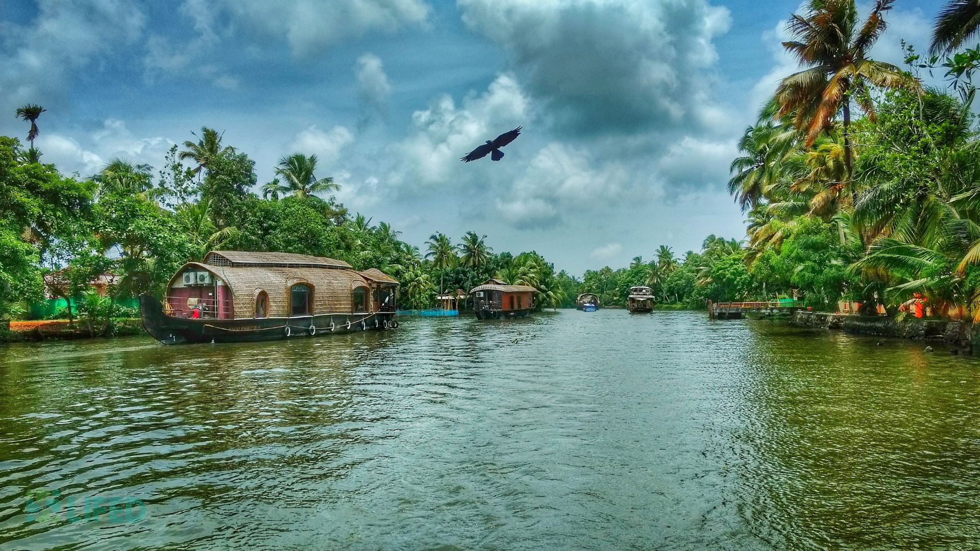How to Choose a Wellness Retreat in Kerala