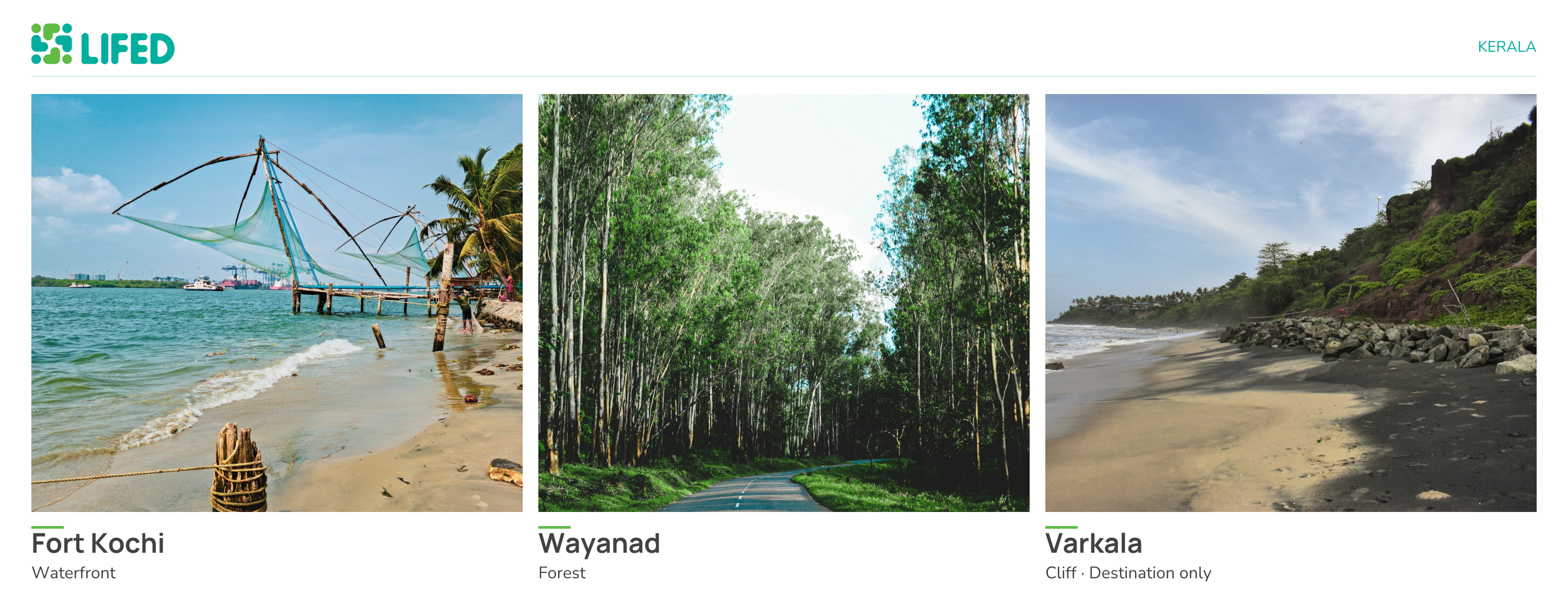 Kochi vs Wayanad vs Varkala: Where to Choose a Wellness Retreat in Kerala